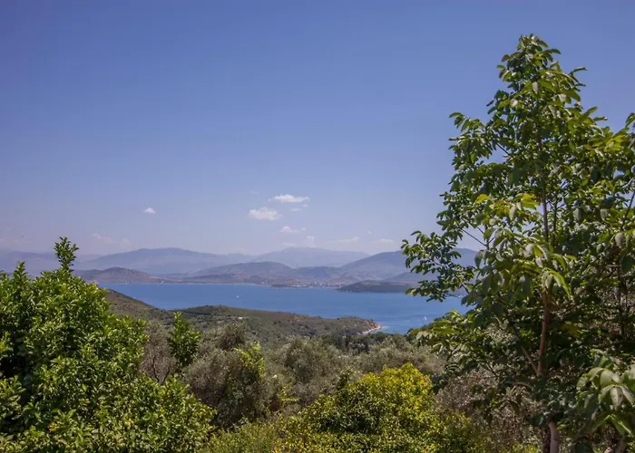 Villa Serpa By