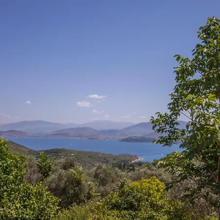 Villa Serpa By